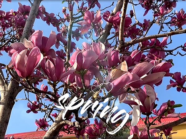 洛陽養老公寓-視頻